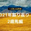 一口馬主徒然帳・2021年振り返り・2歳馬編
