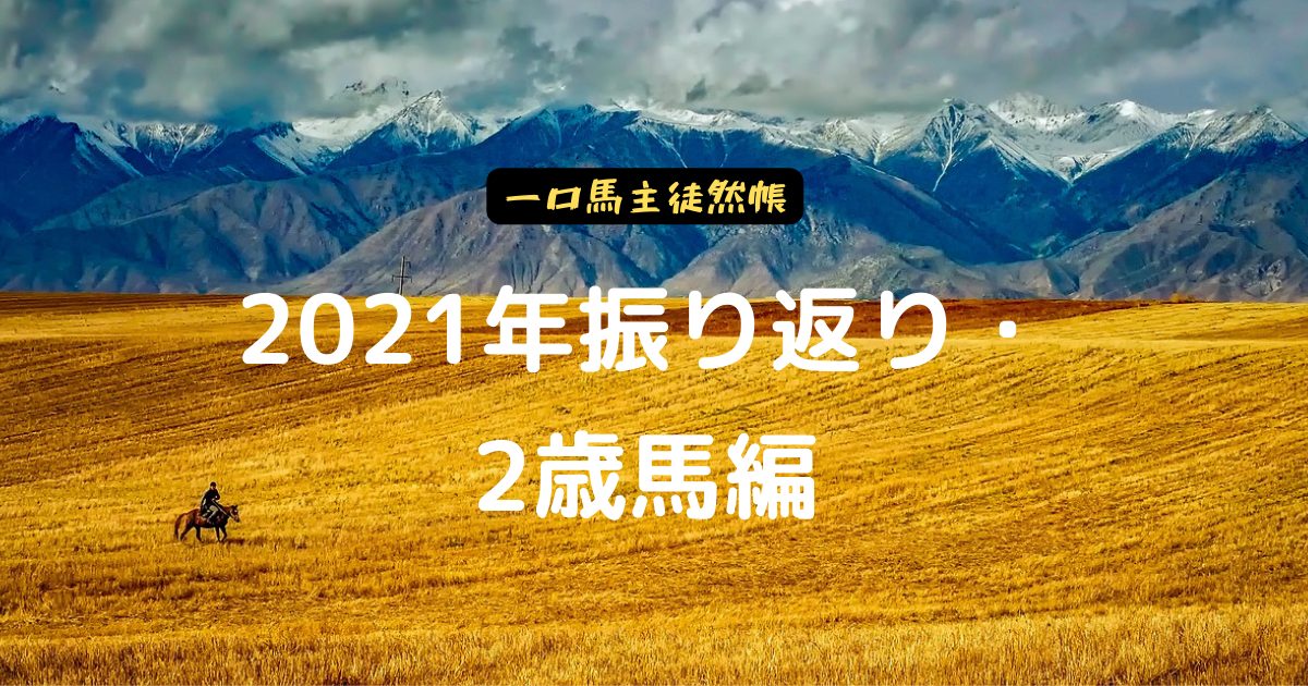 一口馬主徒然帳・2021年振り返り・2歳馬編