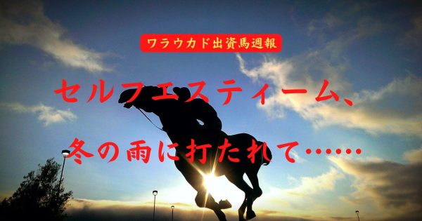 セルフエスティーム、冬の雨に打たれて……