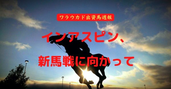 インアスピン、新馬戦に向かって