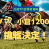 ドグマ、小倉1200への挑戦決定