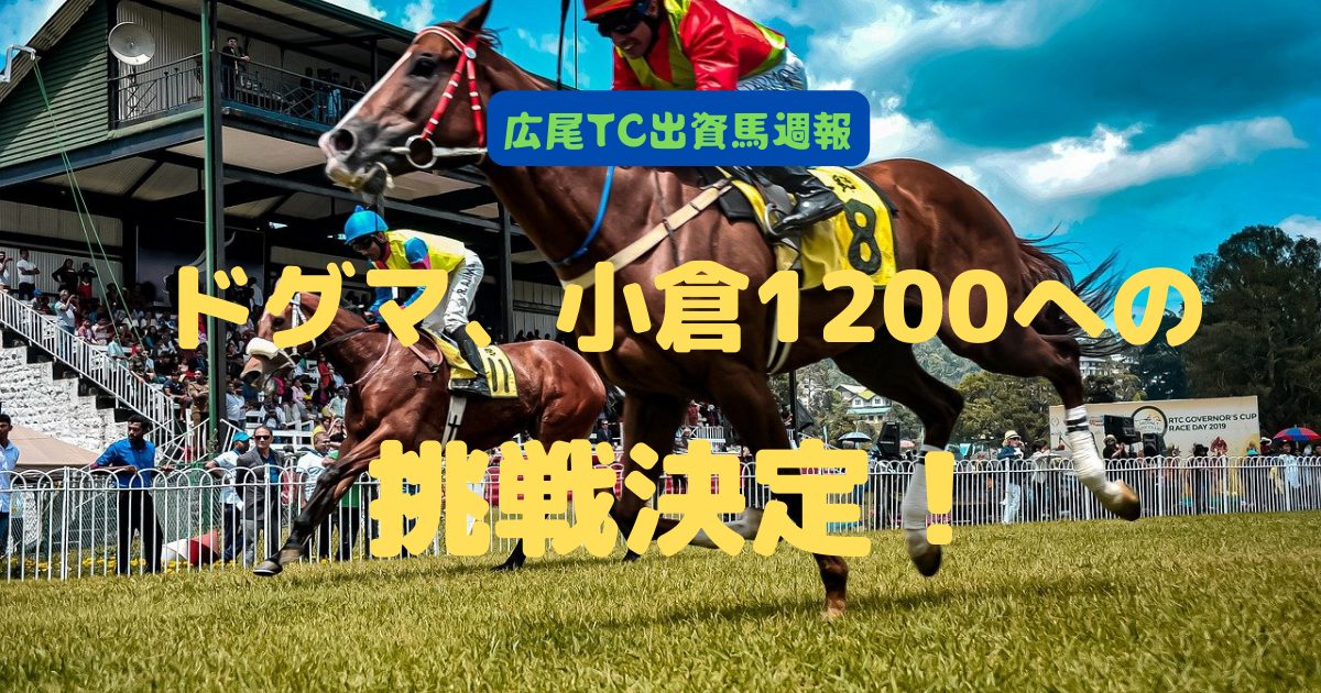 ドグマ、小倉1200への挑戦決定