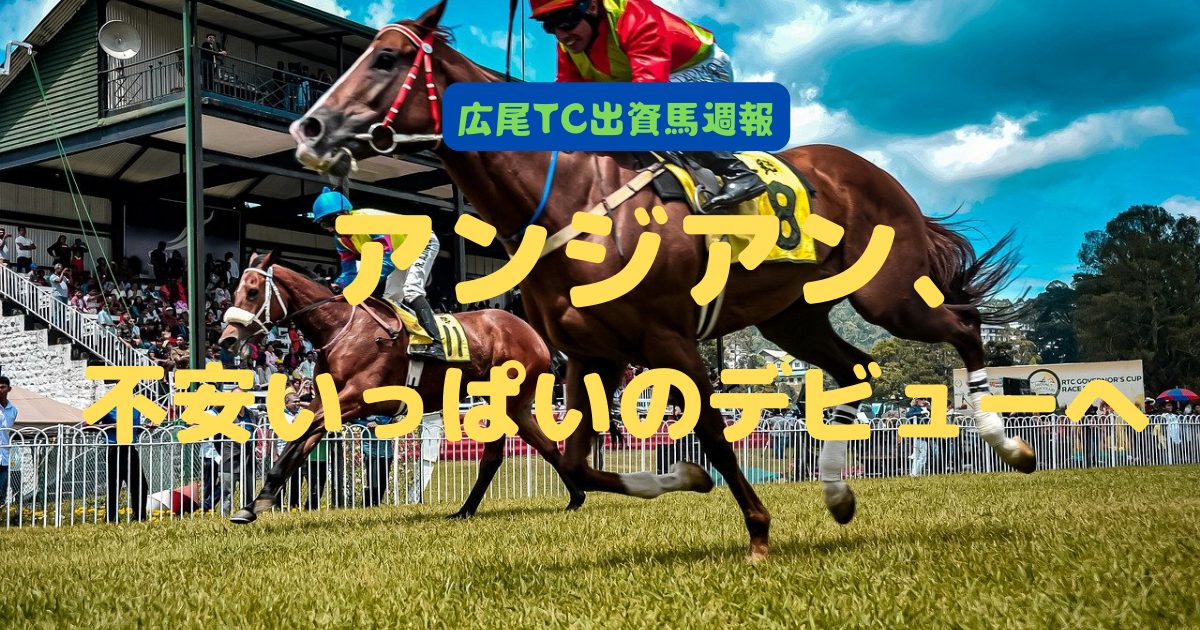 アンジアン、不安いっぱいのデビューへ