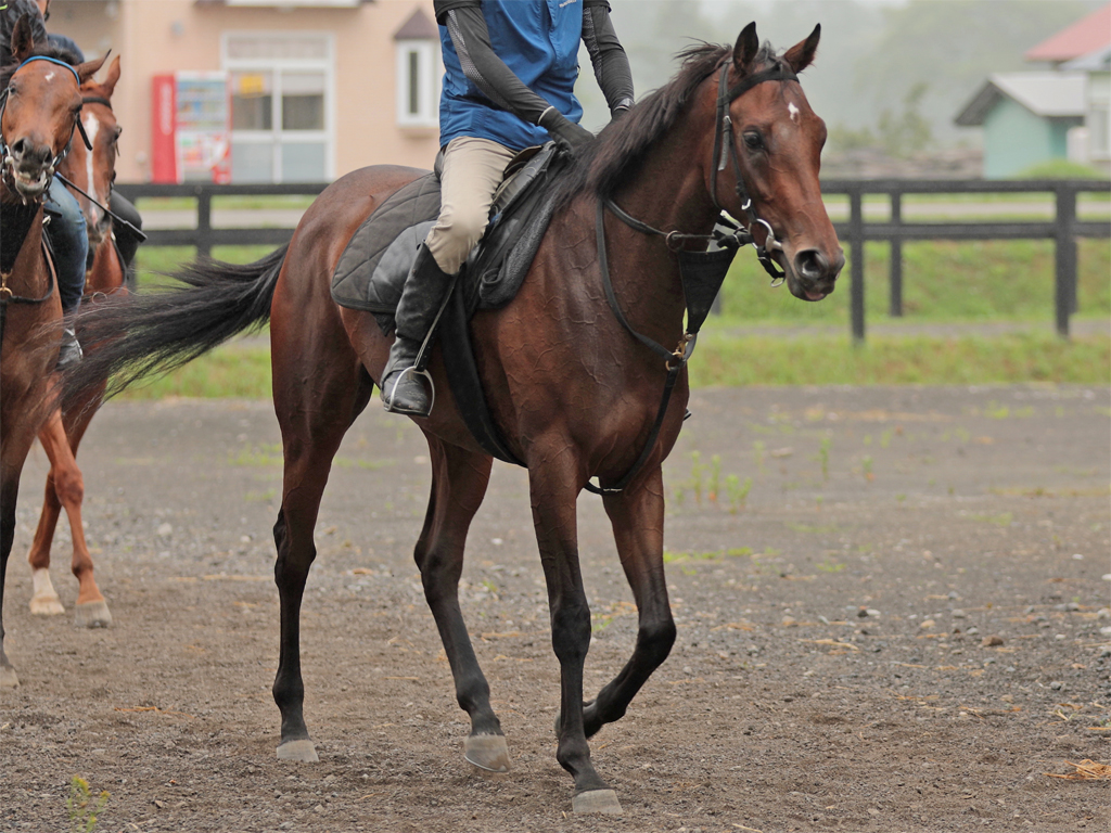 アンジアン・広尾公式HP210730