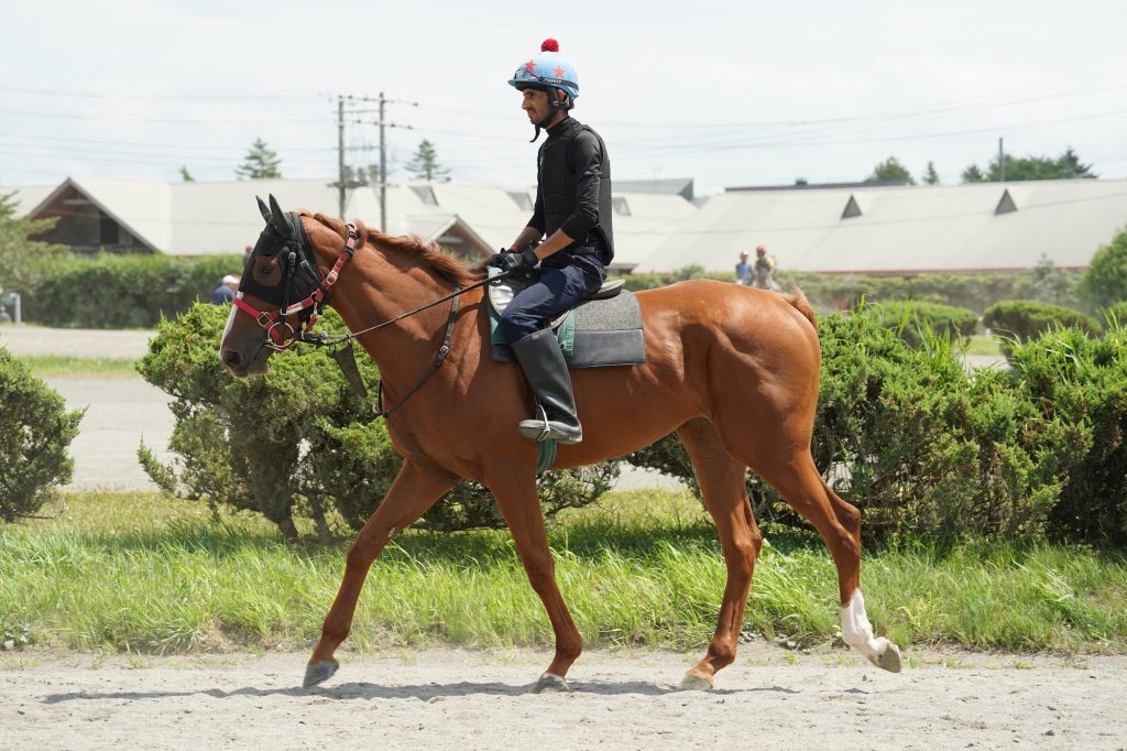 インアスピン・ワラウカド公式210731