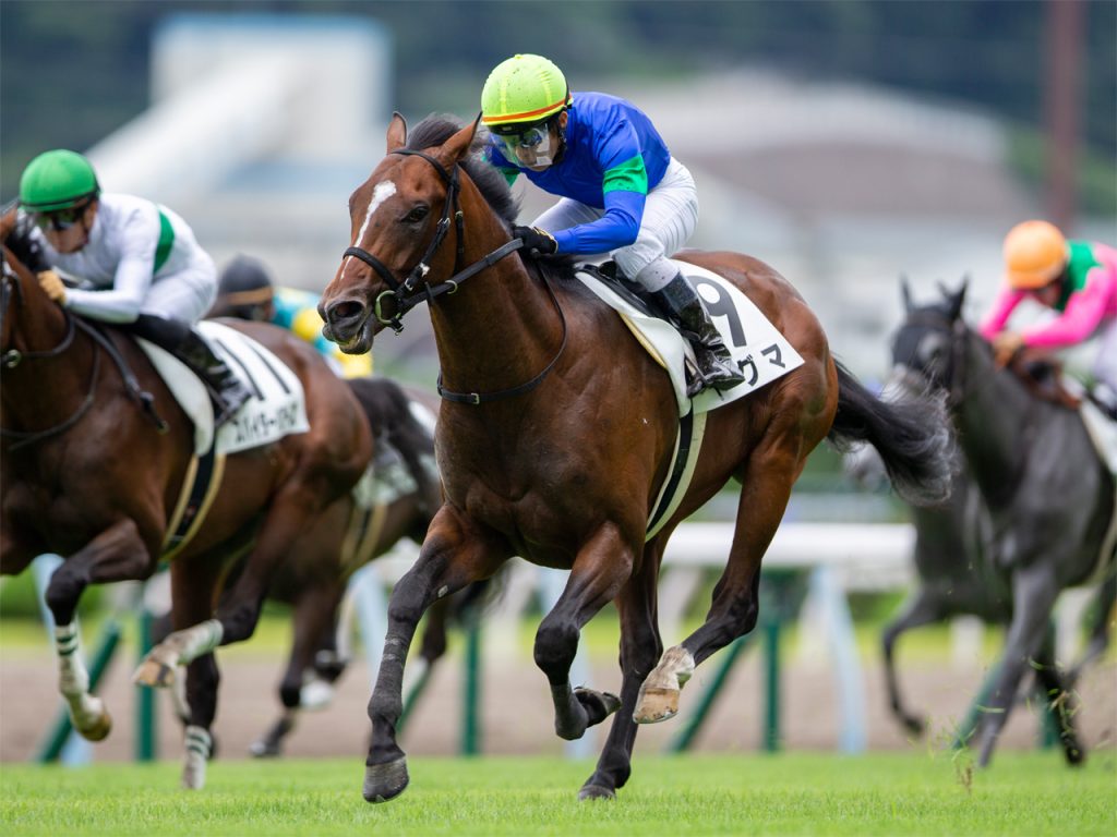 ドグマ・広尾公式HP210818