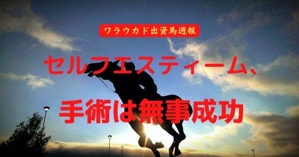 セルフエスティーム、手術は無事成功