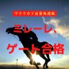 ミレーレ、ゲート合格