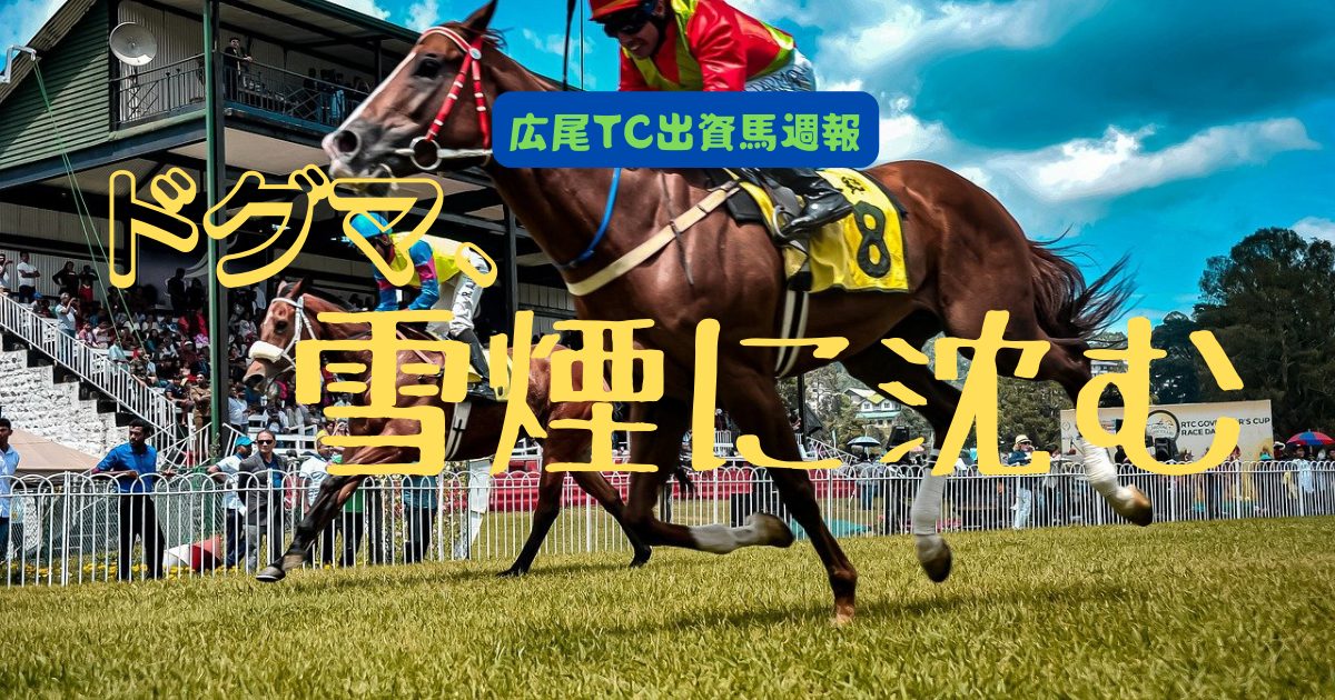 ドグマ、雪煙に沈む