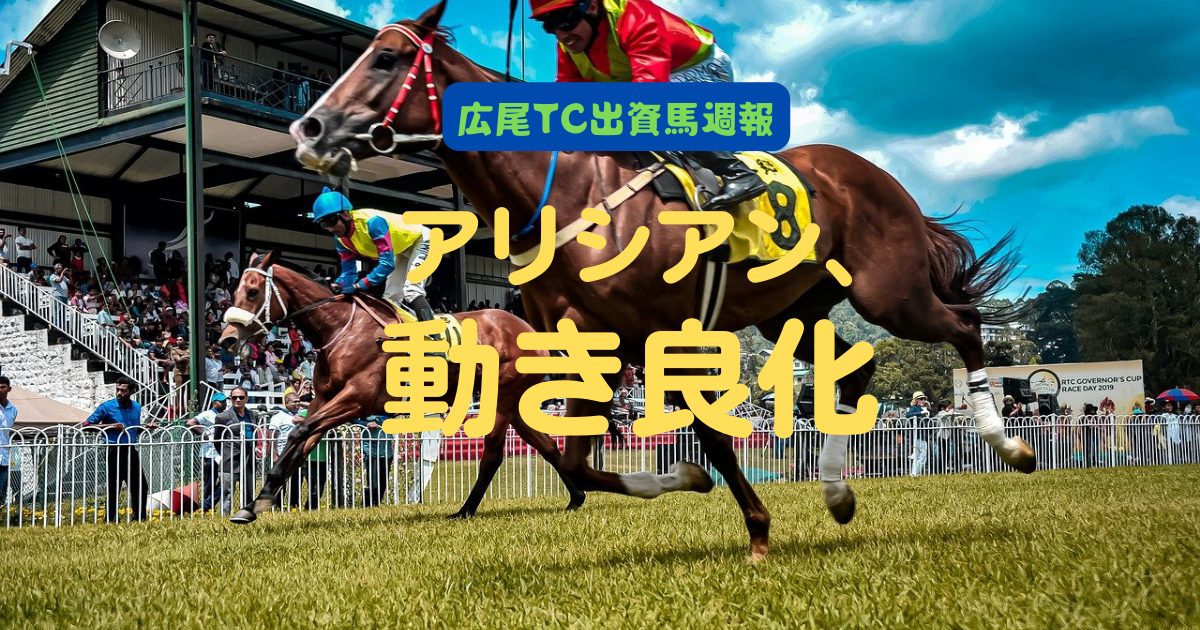 アリシアン、動き良化