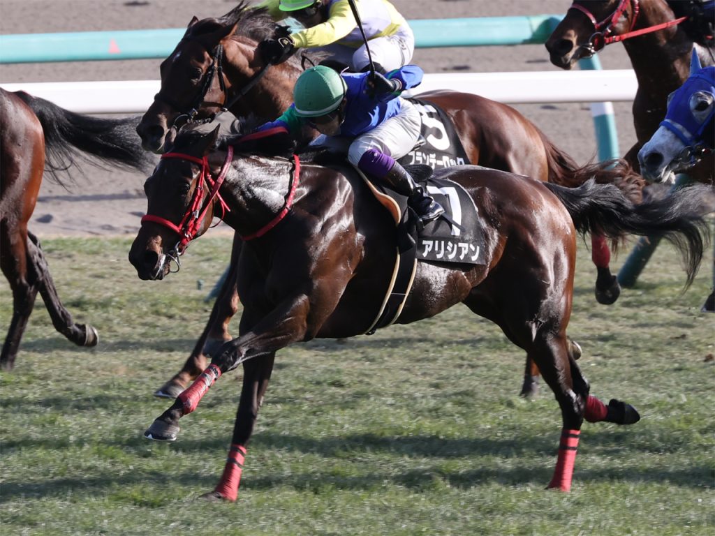 アリシアン・公式220112