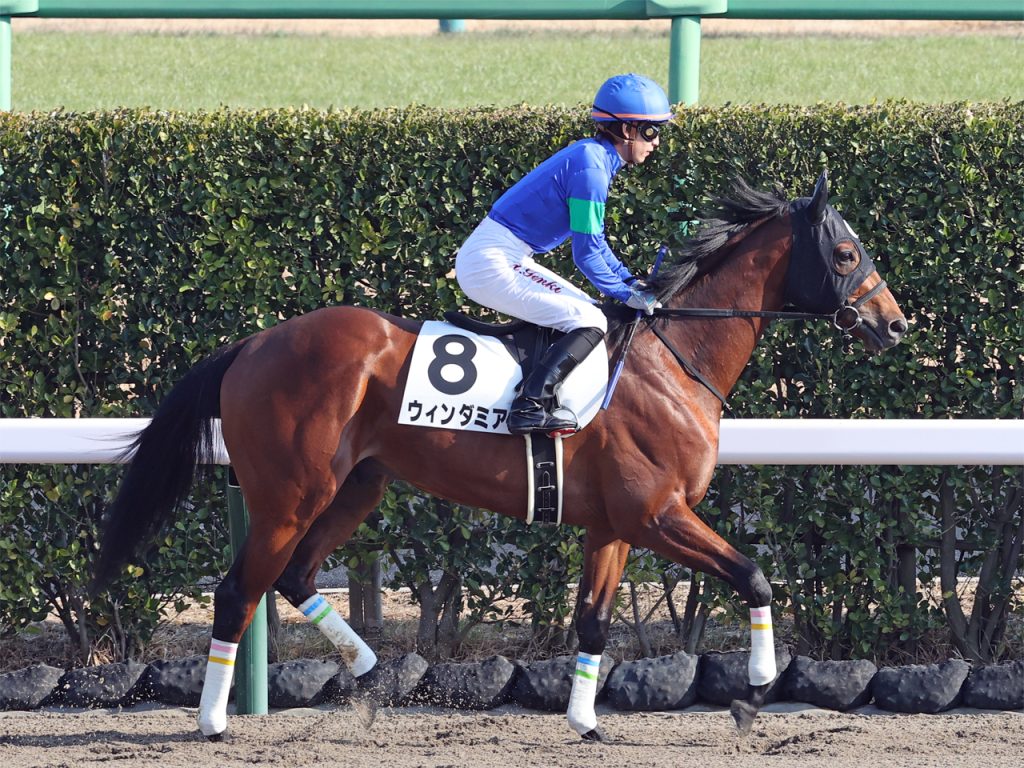 ウィンダミア公式HP211228