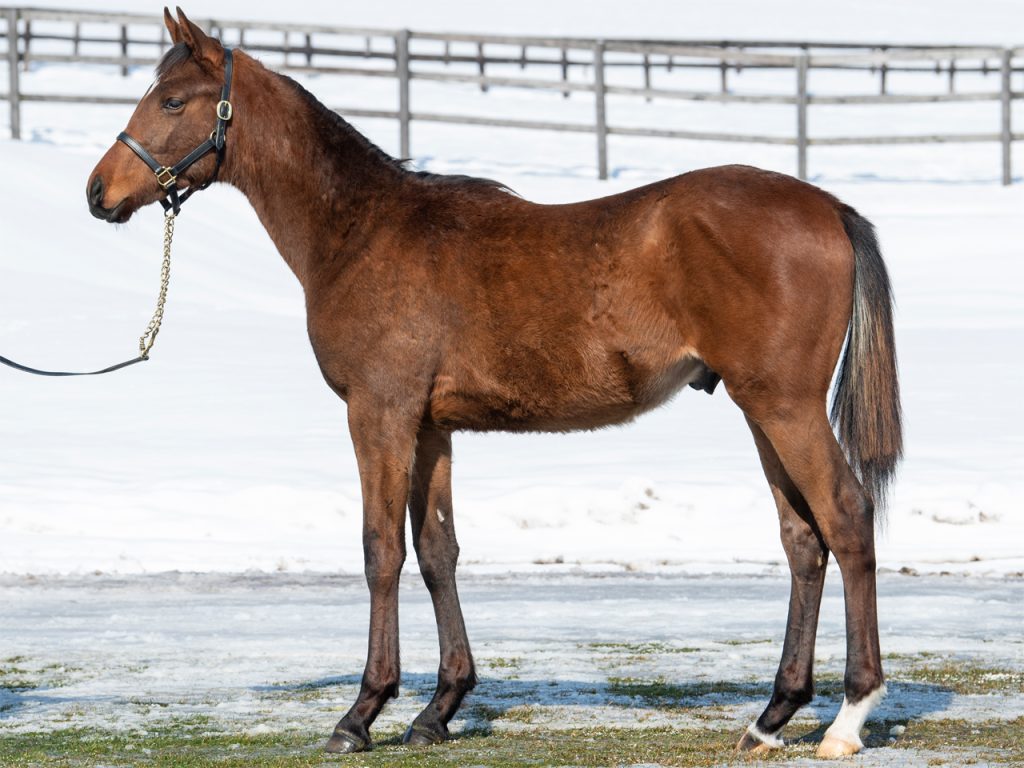 エンパイアブルー21公式220311