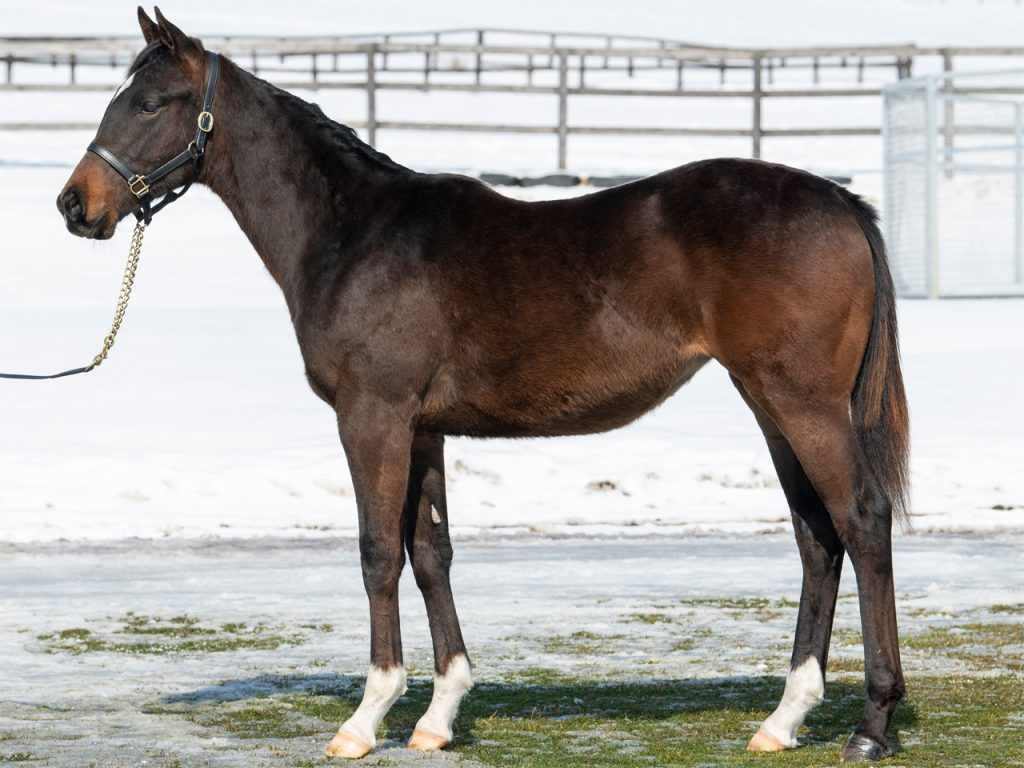 ゼロカラノキセキ21公式220311