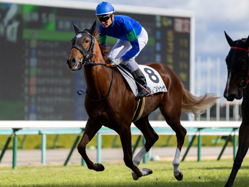 タレントゥーサ公式HP211223