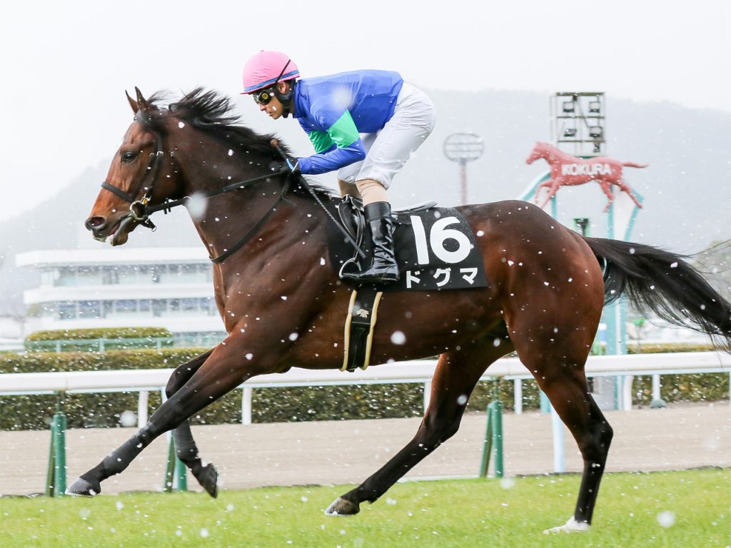 ドグマ公式HP220209