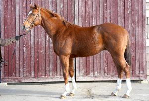 ヒズハイネス・公式220204