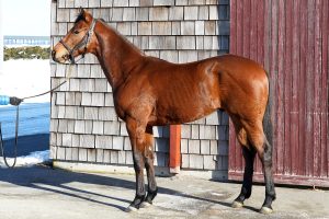 ヘリックス・公式220204