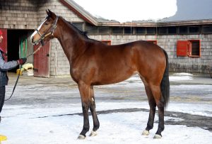 ポーレット・公式220204