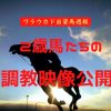 2歳馬たちの調教映像公開