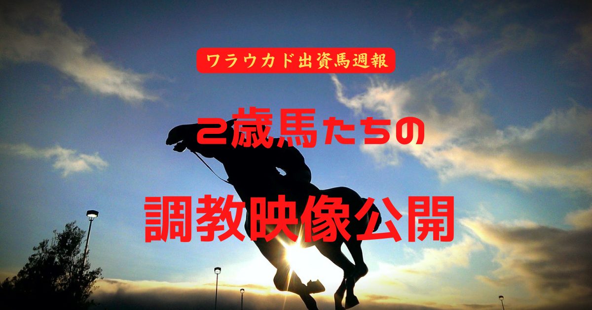 2歳馬たちの調教映像公開