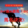 パカパカF産2歳馬（20年産）馬名決定！