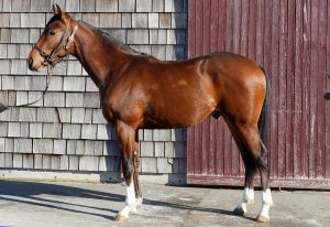 ヴェイルドイントリーグ20・公式HP220204