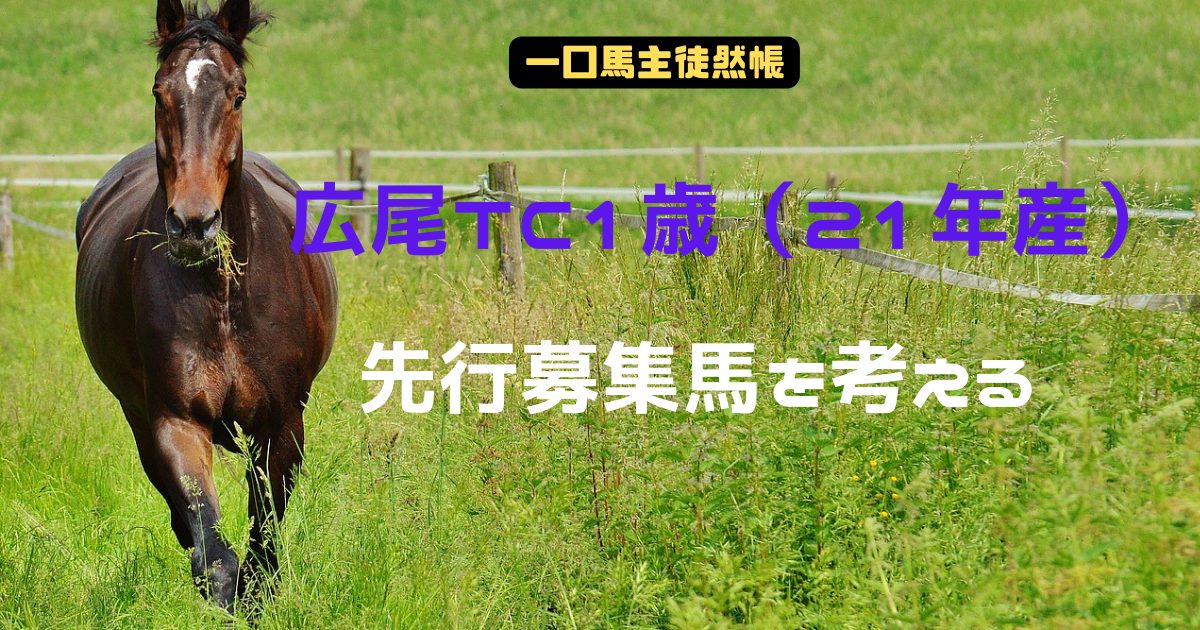 広尾TC1歳先行募集馬を考える