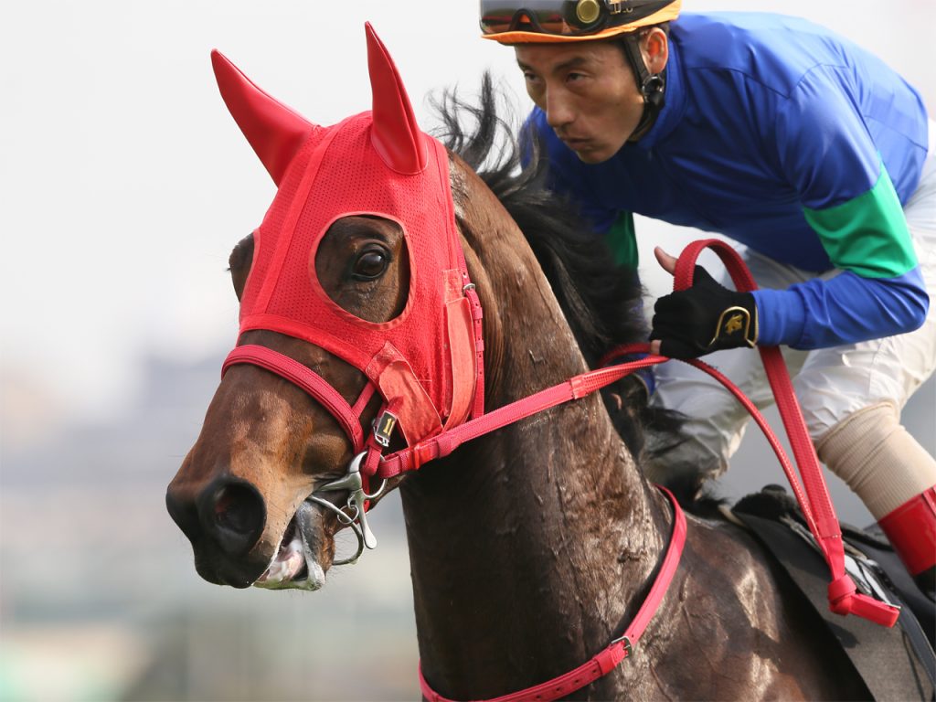 アリシアン公式220316