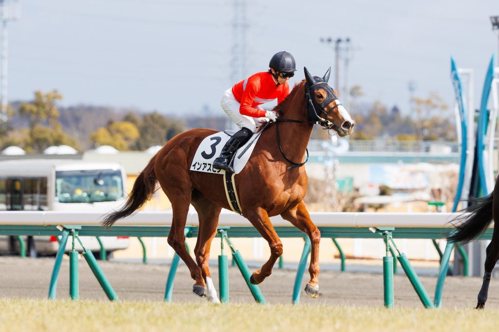 インアスピン公式220226