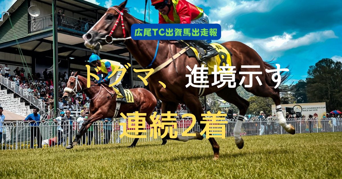 ドグマ、進境示す連続2着