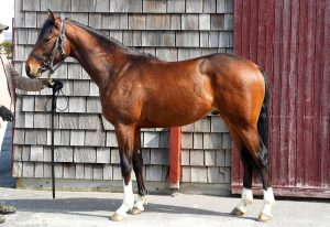 クリプティクコード220401