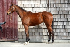 ミロスラヴァ220408