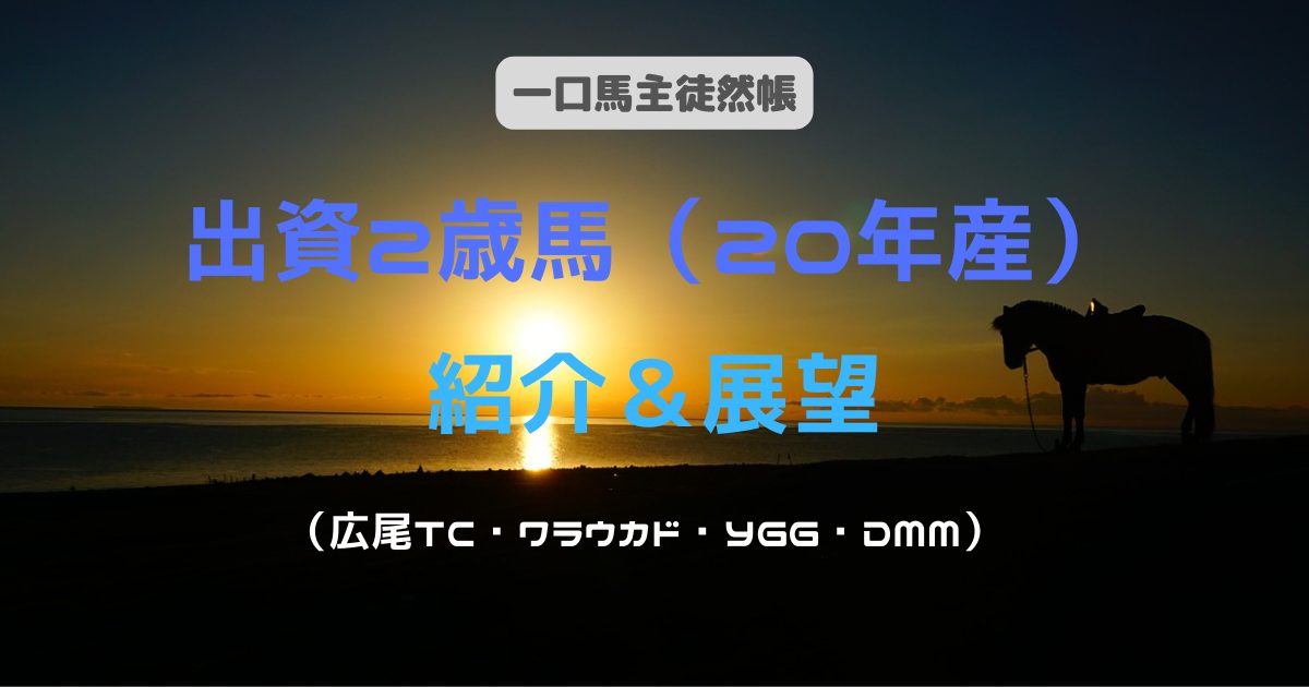 出資2歳馬（20年産）紹介＆展望（広尾TC・ワラウカド・YGG・DMM）