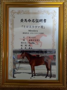 ミロスラヴァ命名証明書