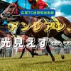 アンジアン、光見えず……