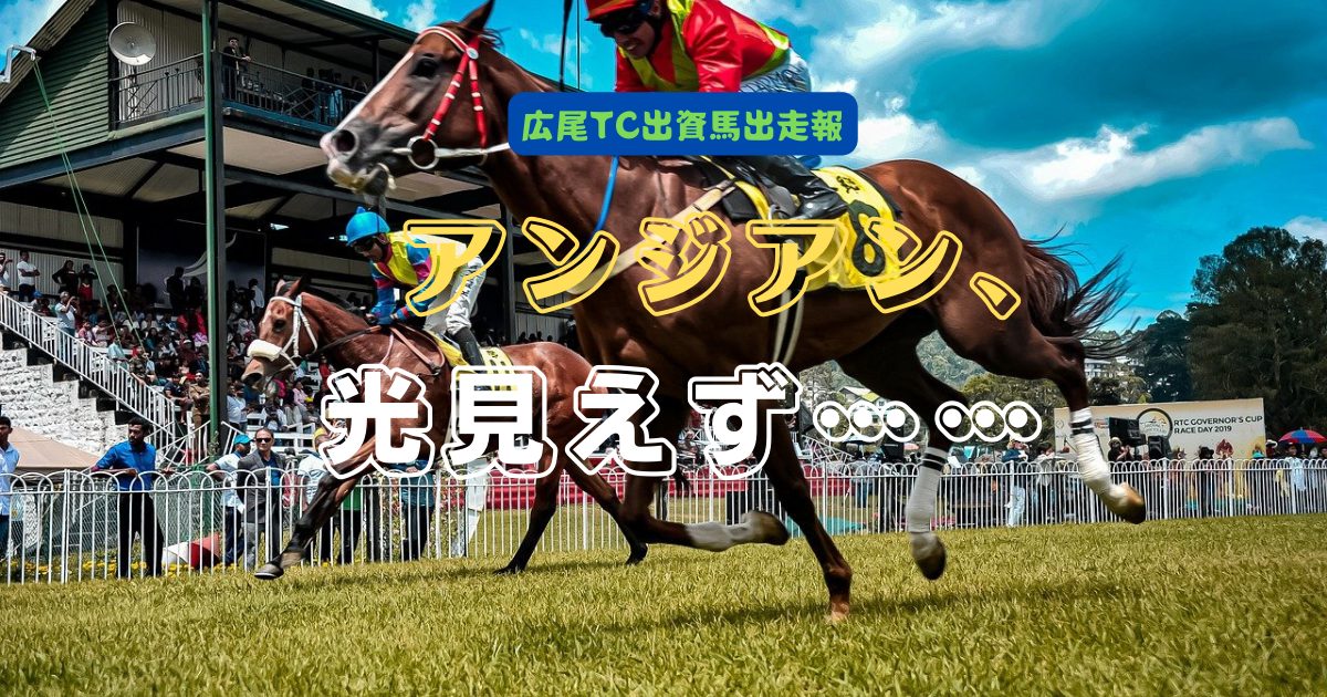 アンジアン、光見えず……