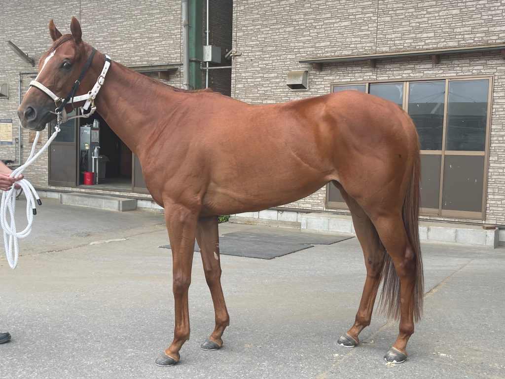 ミーナティエルナ220611