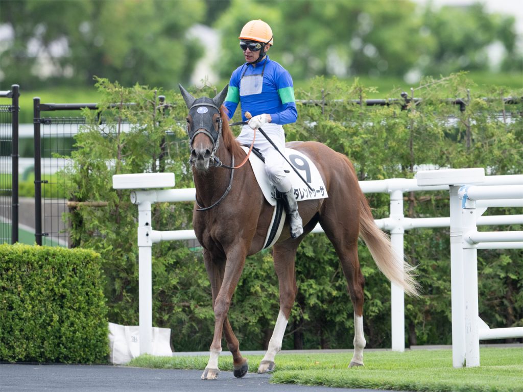 タレントゥーサ220714