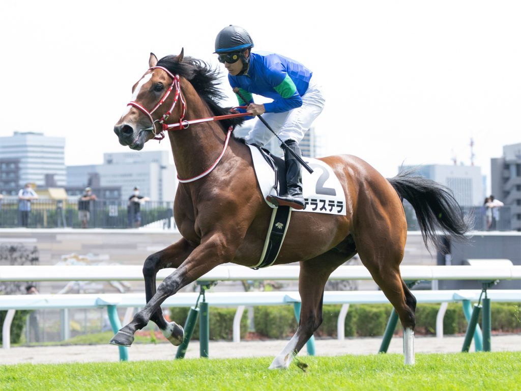 テラステラ220812