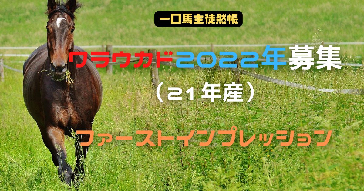 ワラウカド2022年募集ファーストインプレッション