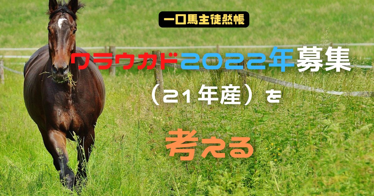 ワラウカド22年募集 21年産 を考える 今日もターフでおまちかね