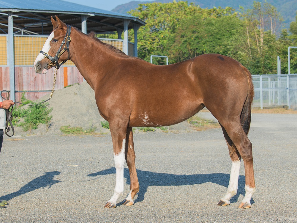 ビジュートウショウ21・221011