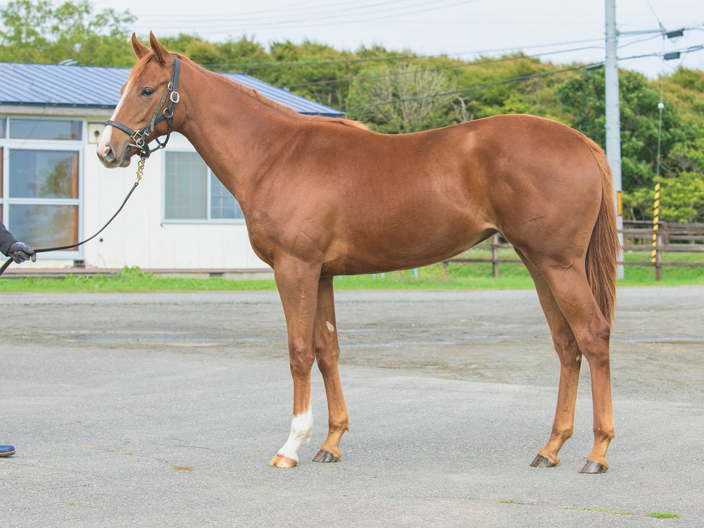 ブリリアントコール21・221011