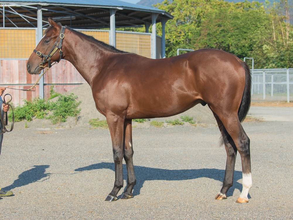 プレインズウーマン21・221011