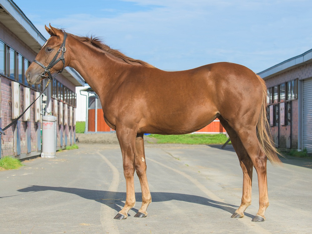 ユーリカ21・221011