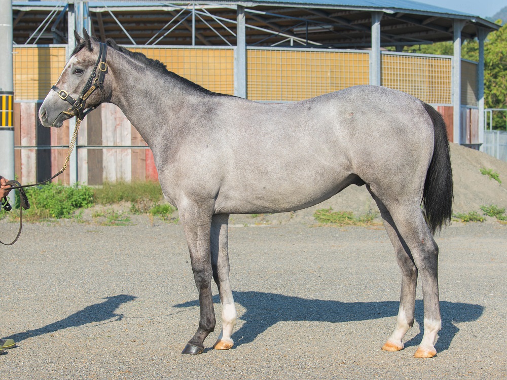 リボルトレイダー21・221011