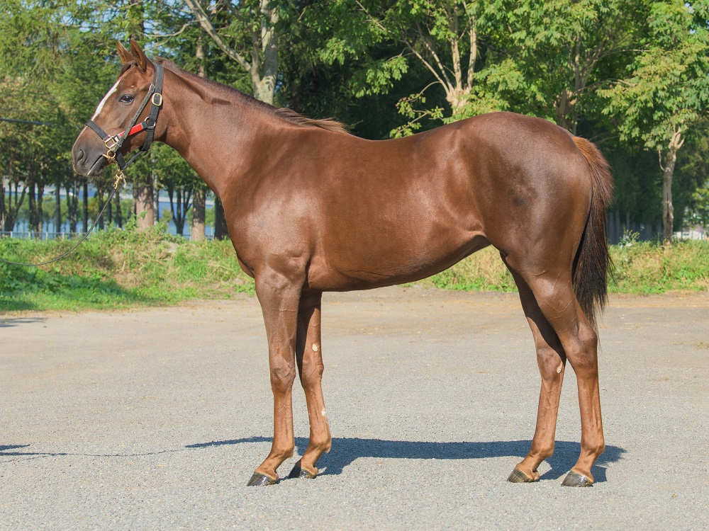 ヴィオレッタ21・221011