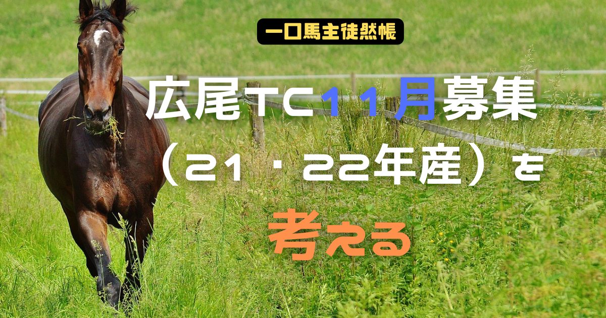 広尾TC11月募集を考える
