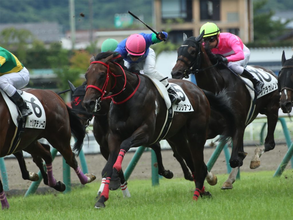 アリシアン220721